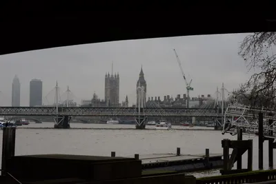 DSC_5910 (Large).JPG